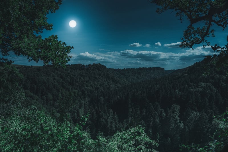 Moonlit Romance
